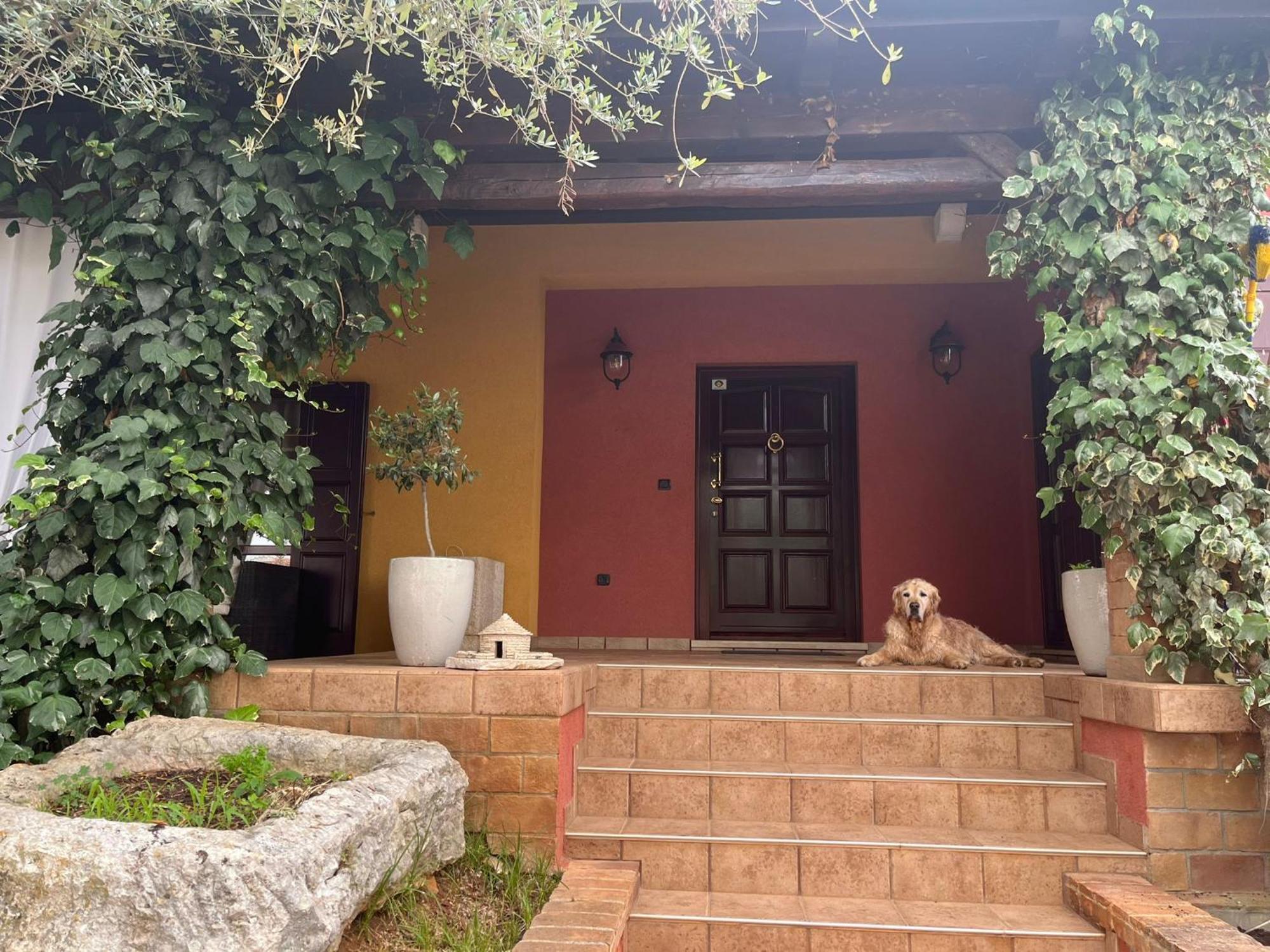 New!!! La Magrina - Bed&Breakfast Vrsar Exterior foto