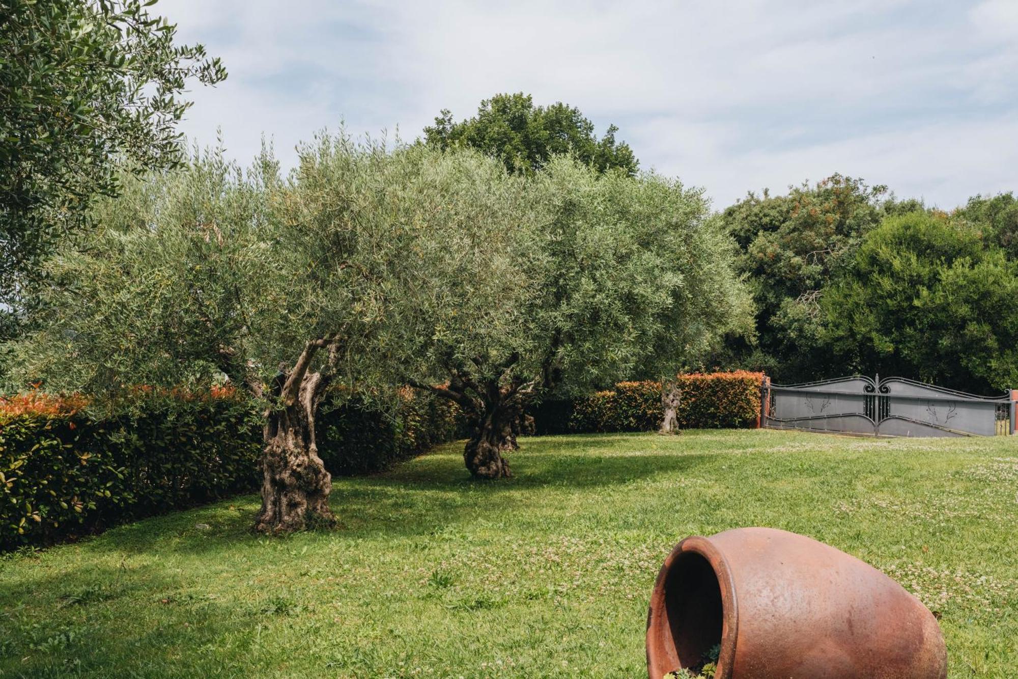 New!!! La Magrina - Bed&Breakfast Vrsar Exterior foto